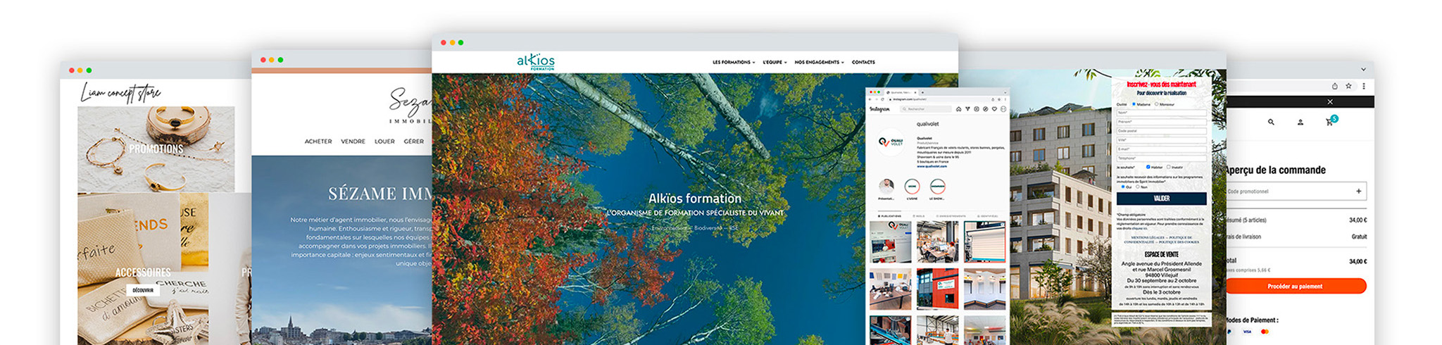 Aperçu Website Picteos